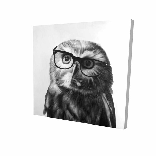 Begin Home Decor 12 x 12 in. Northern Saw-Whet Owl with Glasses-Print on Canvas 2080-1212-AN294